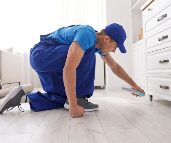 مكافحة حشرات ورش مبيدات آمنة مع شركة الرصافة الذهبية